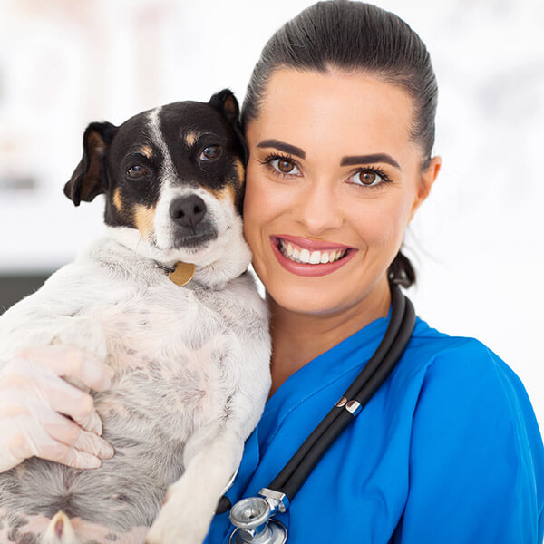 20 Qualified Pet care Professionals